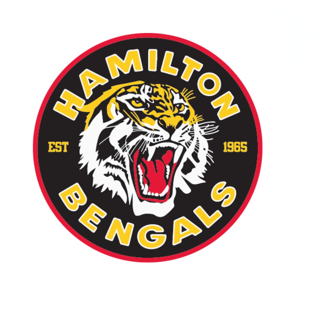 HAMILTON BENGALS WINTER HAT – Team Headquarters